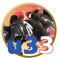 u33