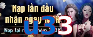 u33
